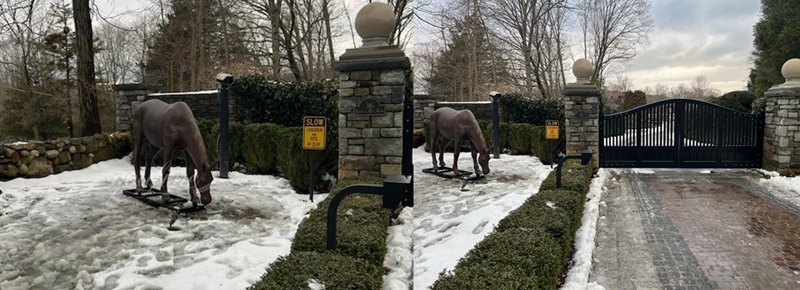 American brown bronze grazing horse feedback