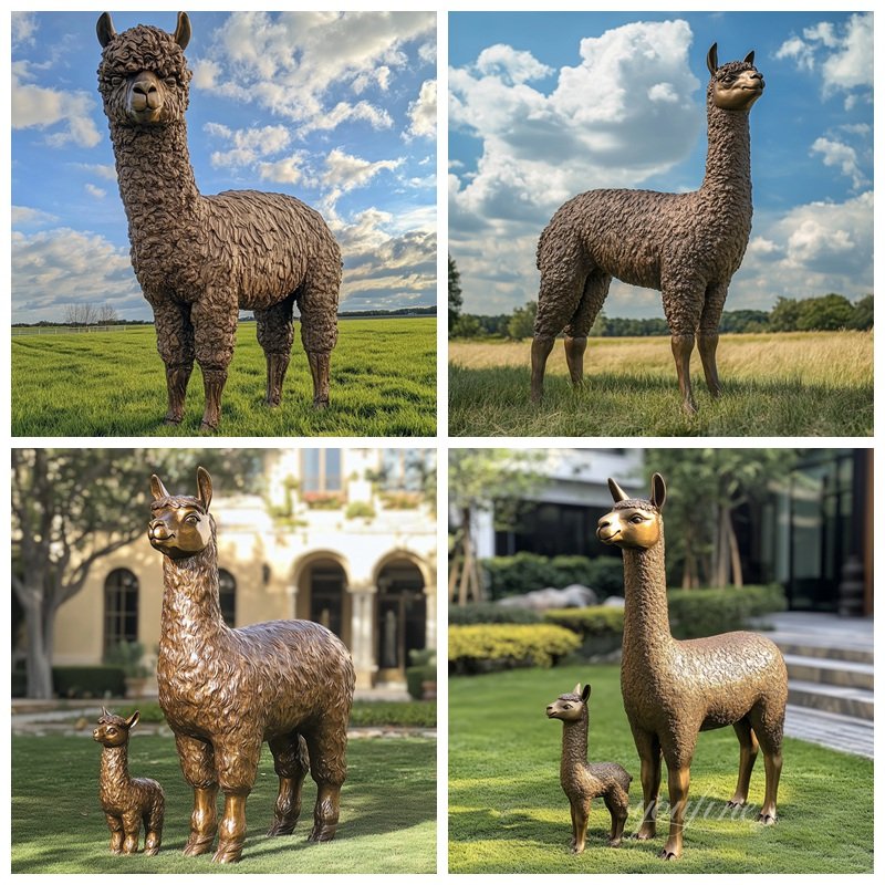 Life Size Bronze Alpaca Garden Statue Application Scenes