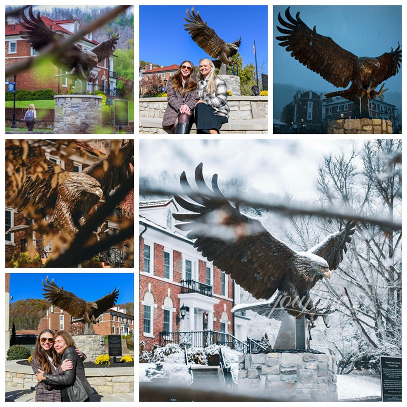 Life Size Bronze Eagle Statue Application Scenes